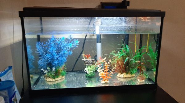 top fin 10 gallon goldfish aquarium starter kit top fin 10 gallon goldfish aquarium starter kit