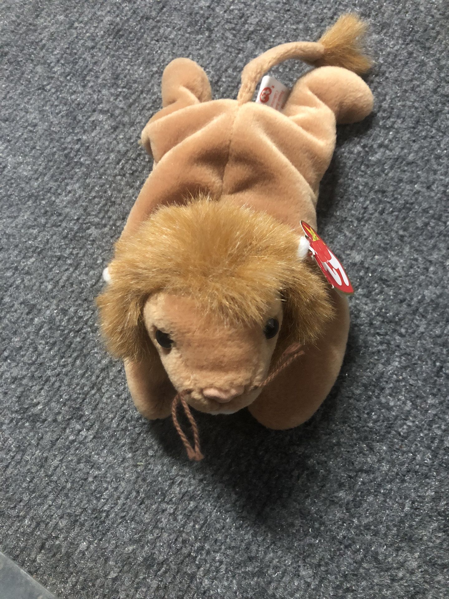 TY “Roary” Beanie Baby