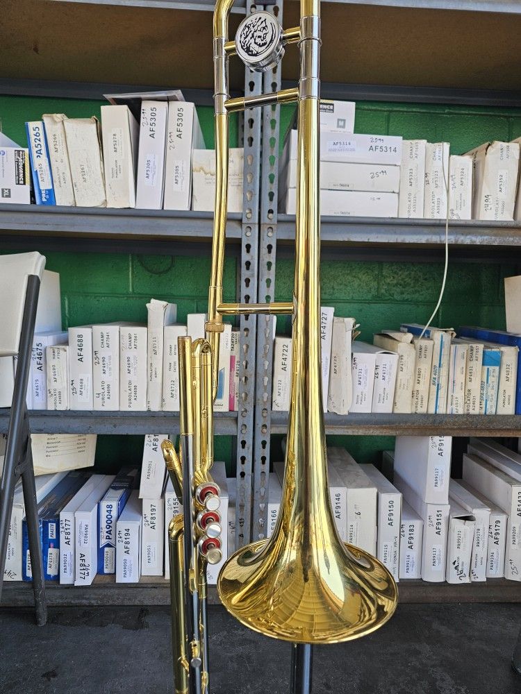 Tamborazo Nueva Esperanza 