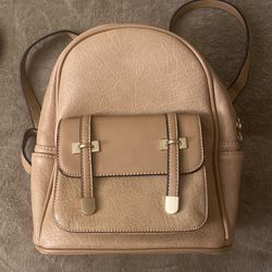 Back Pack