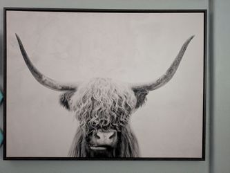 "no bull" canvas print