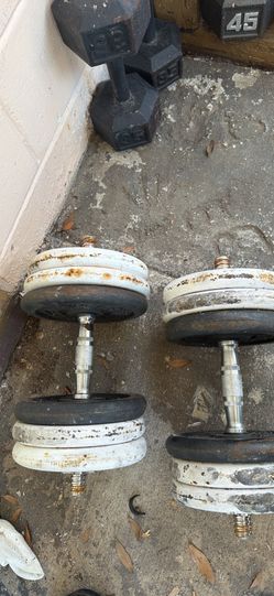 Dumbbells  Weider