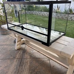 40 Gallon Tank