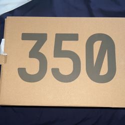 Yeezy 350