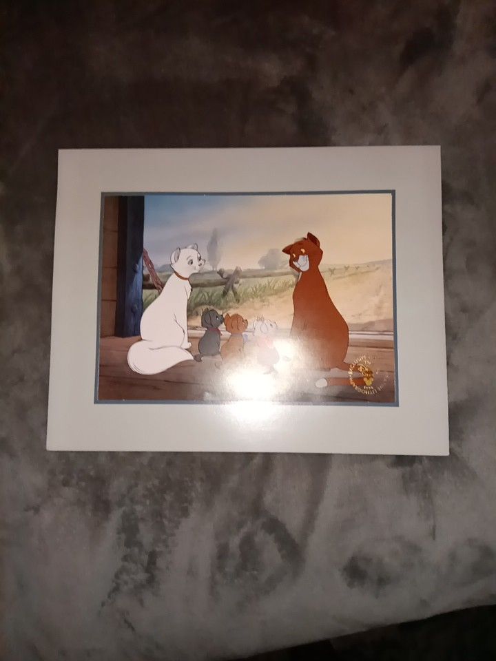 Disney Picture