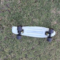 Glow In The Dark Penny Board Skateboard