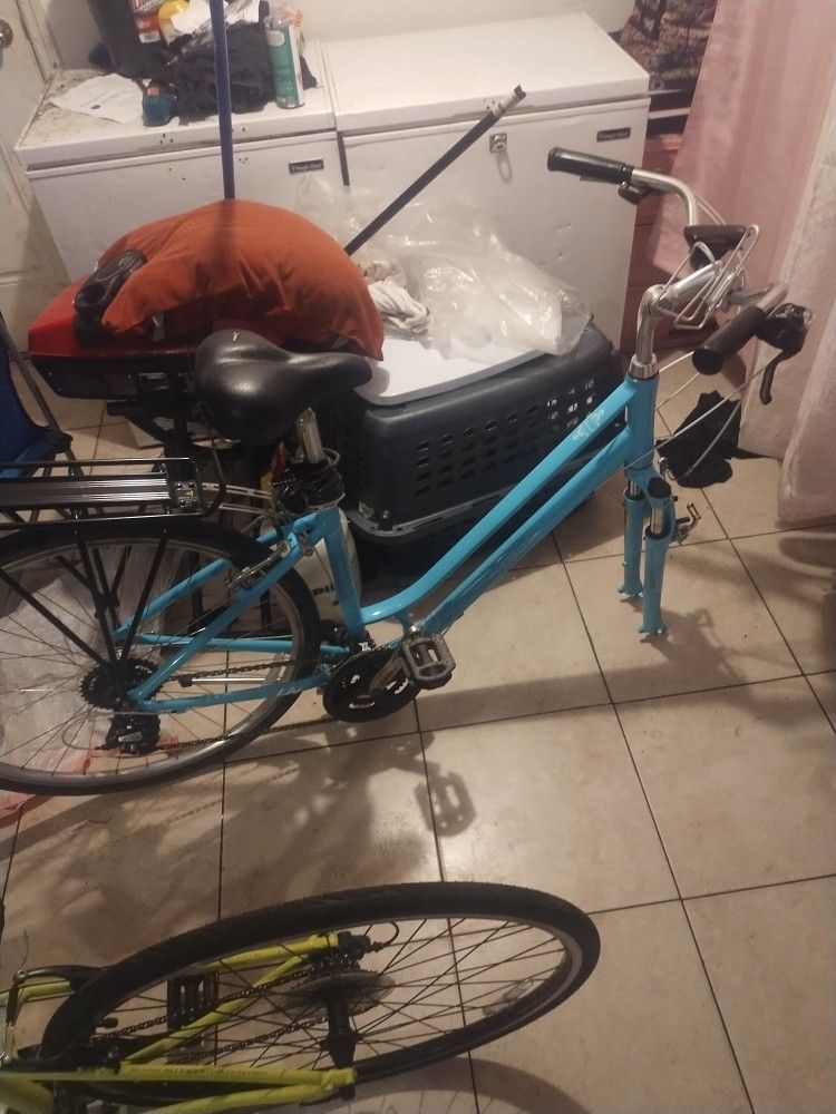 Giant Liv 1 Medium Frame