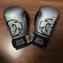 Rival Boxing Gloves