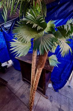Artificial Palm Trees