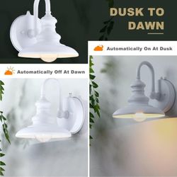 Dusk To Dawn Sensor Outdoor Light