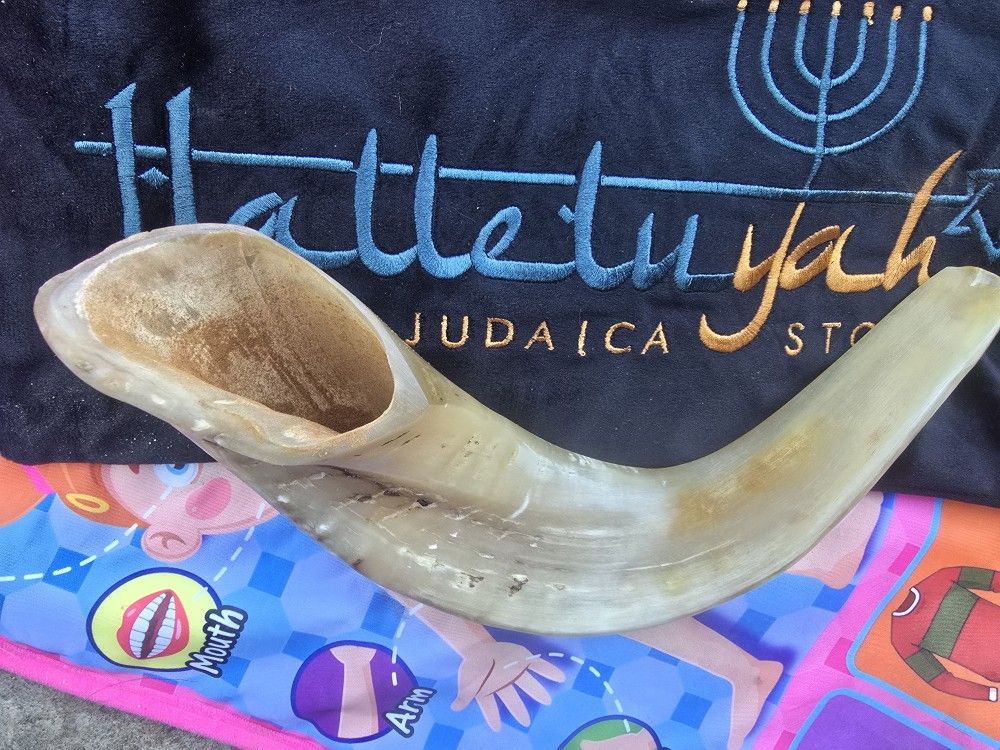 SHOFAR TRUMPET Best Offer