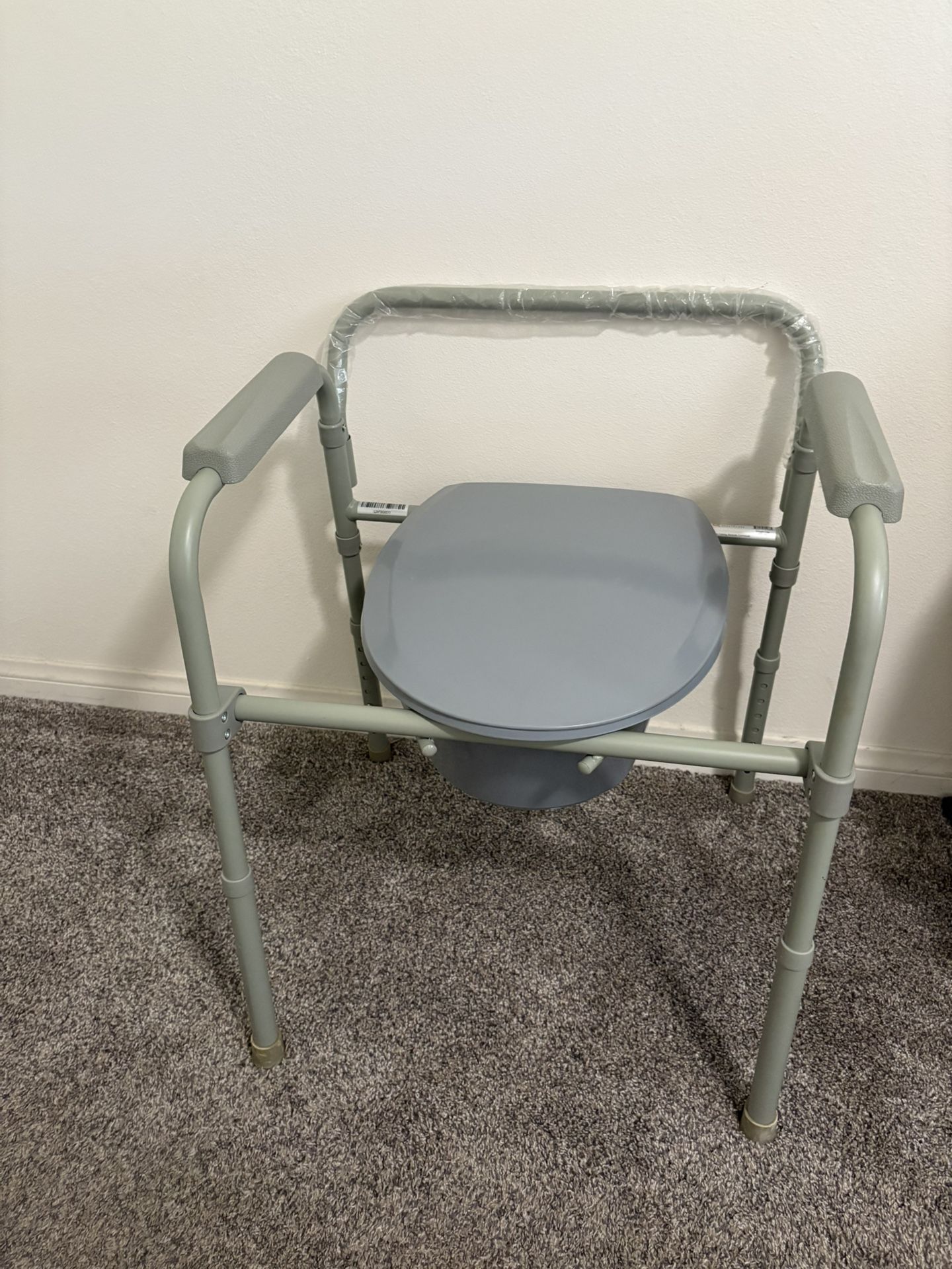 Potty Chair