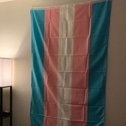Transgender Flag