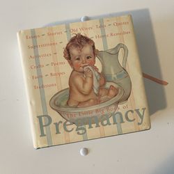 The Little Big Book of Pregnancy by Katrina Fried & Lena Tabori (Hardcover)