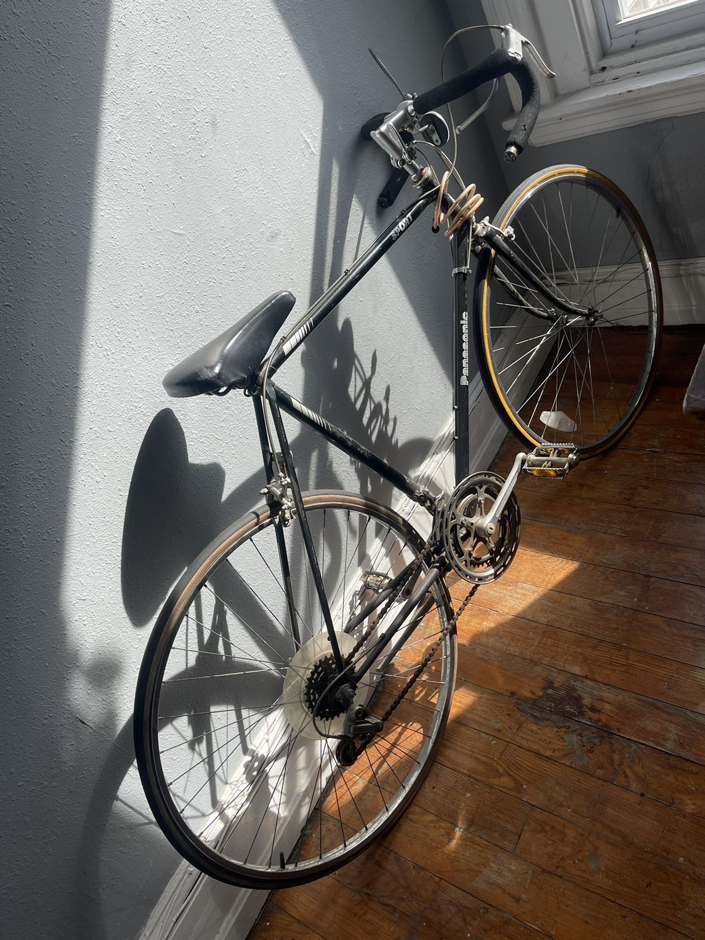 Panosonic Sport Bike