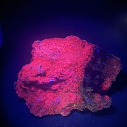 Large Ruby Crystal Specimen 584g Natural Raw Ruby Mineral Matrix