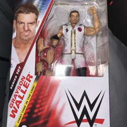 Wwe Toy