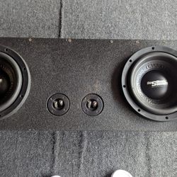 Two Resilient Sound Rs10s In A Down Firing Box