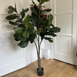 Large Fake Fiddle Leaf Plant