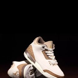 Jordan Retro 3 