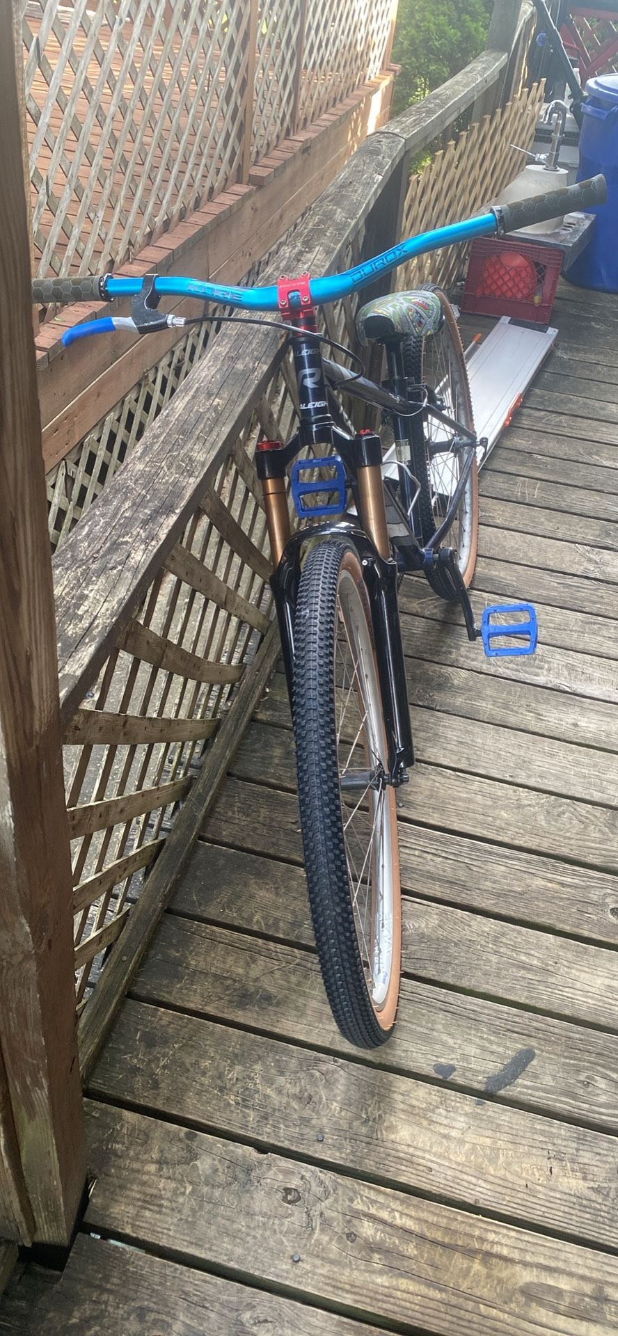 Custom Dirt Jumper