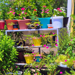 Plant sale Saturday and Sunday 8-5pm prices starting $2