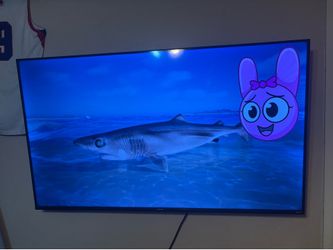 Hisense Roku tv