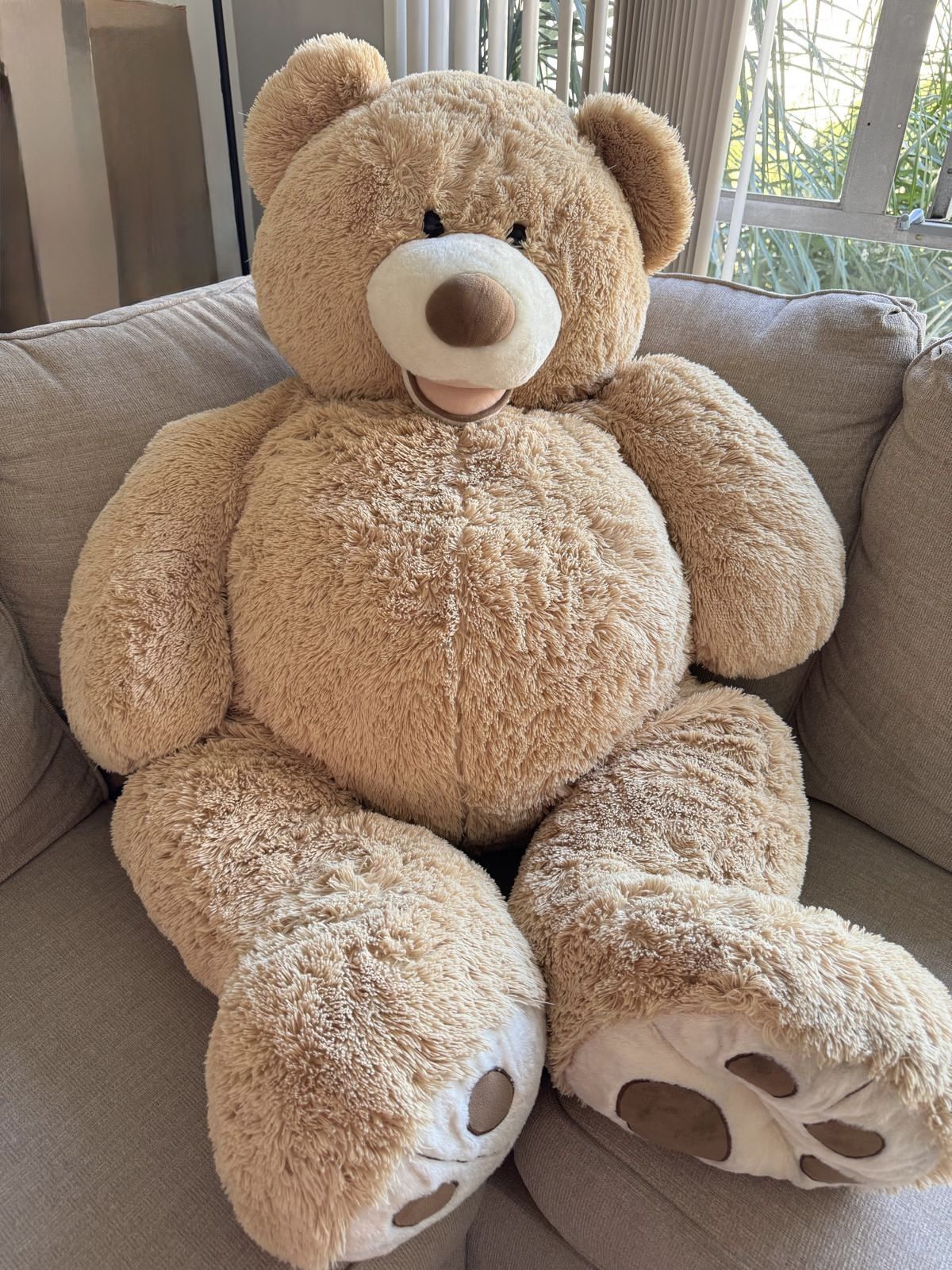 Giant Teddy Bear