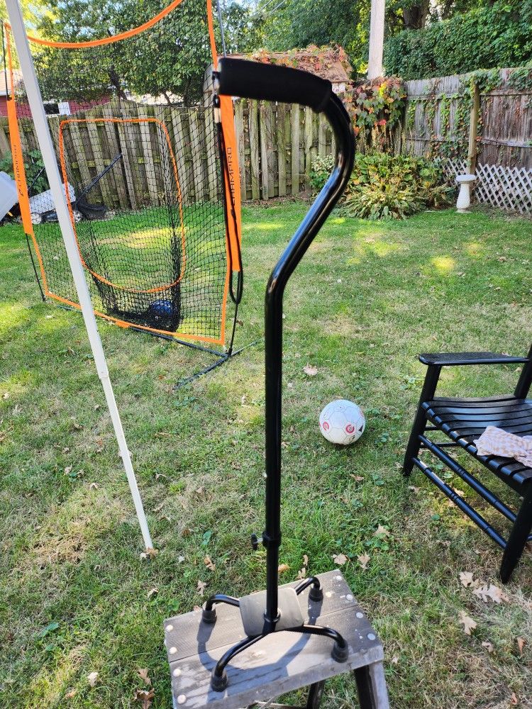 Walking Cane