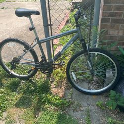 roadmaster mongoose bike