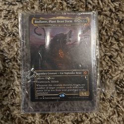 Deck Master