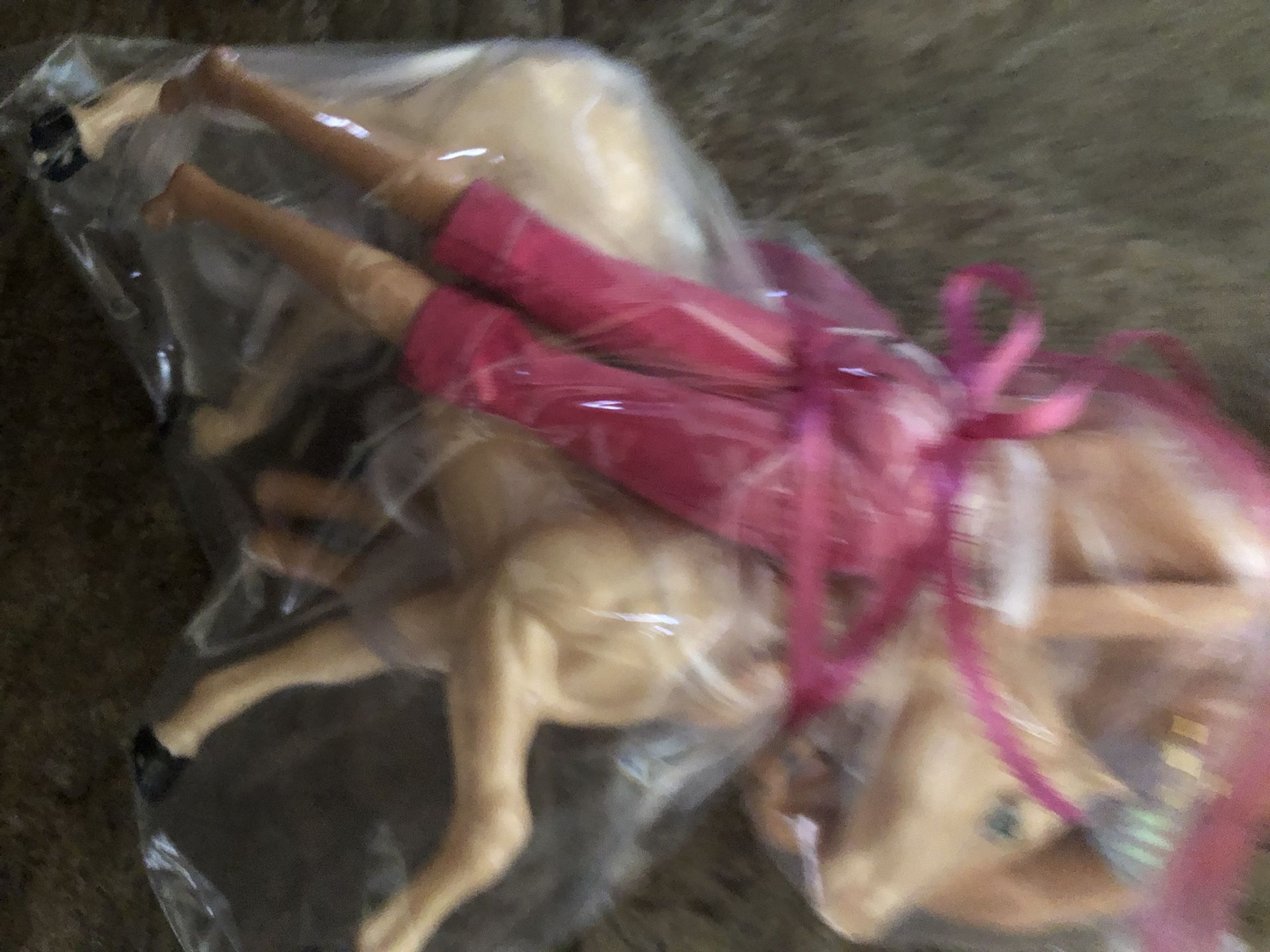 Barbie Pony, Barbie and Boy Bsrbie