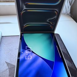 iPad Pro 11' M4 256gb Space Black Wi-fi