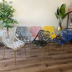 Modern Birch Dining Chairs 50$ Each 
