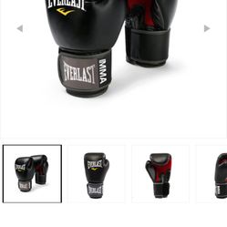 Everlast Muay Thai Gloves 