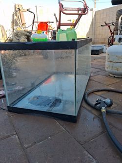 40 gallon tank with lid