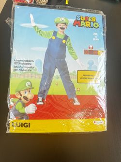 Luigi costume