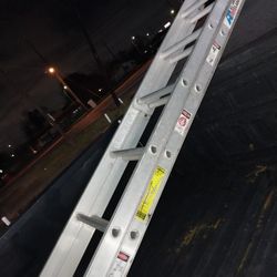 16 Ft Ladder