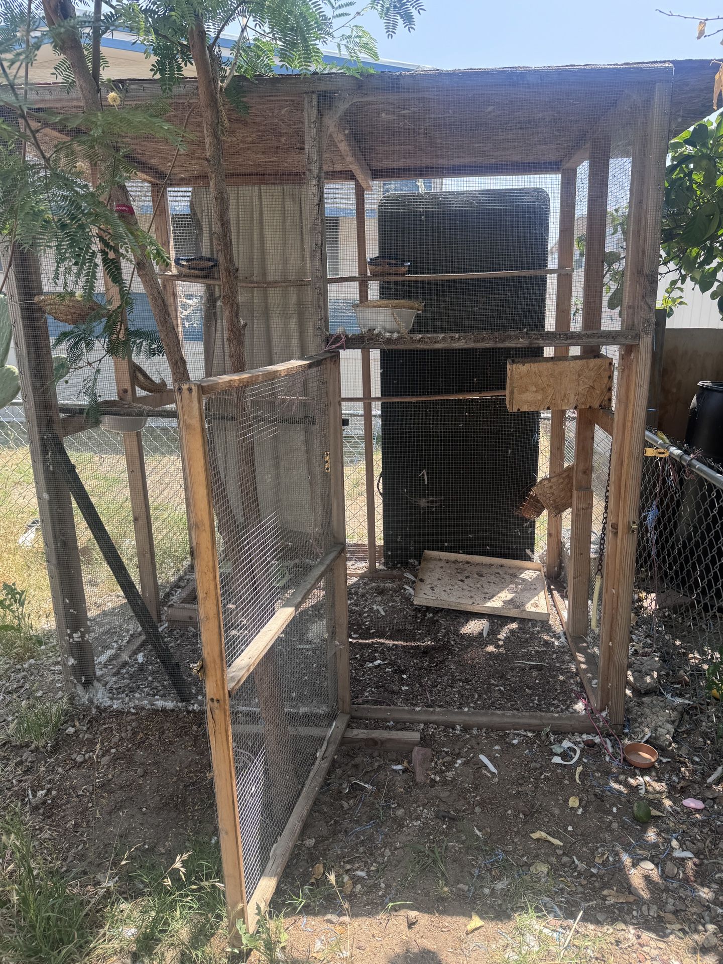 Bird Cage