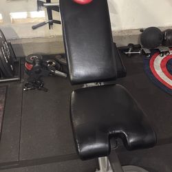 Bowflex adjustable bench