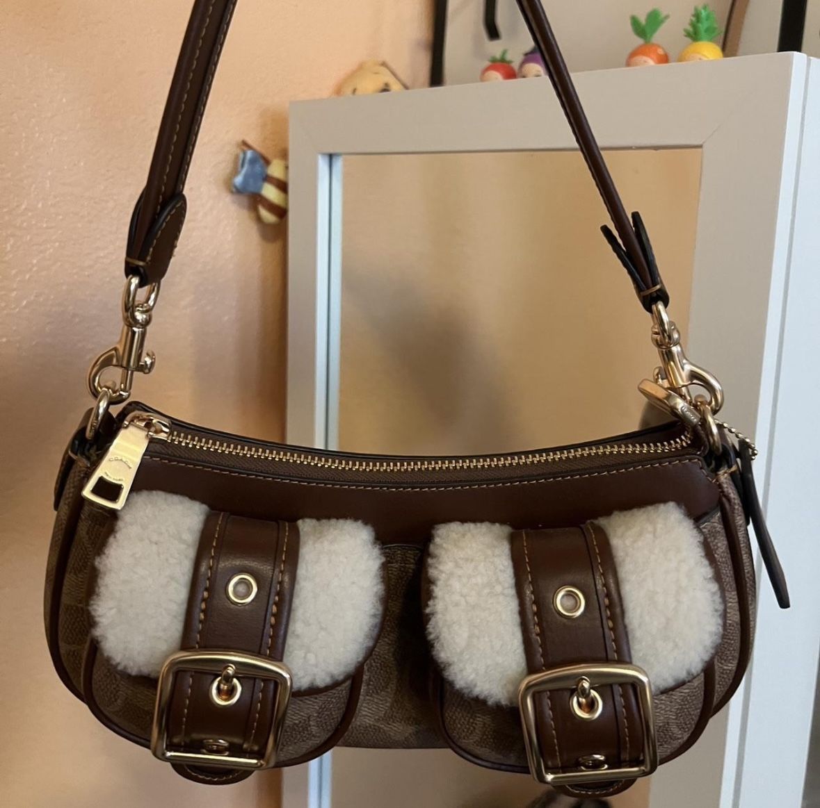 Coach Ashton Bag