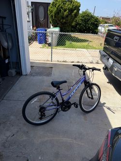 Girls bike 24"