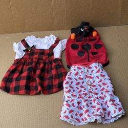 Clothing for a small female pet