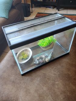 Small fish/reptile Tank