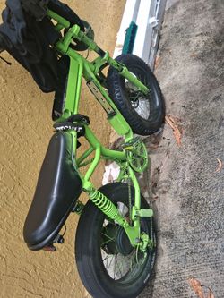 Urlife T2 48v battery 100mile range 28mph