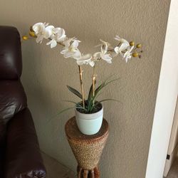 Artificial Plant, Orchid