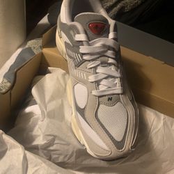 Great Grey NB GSB