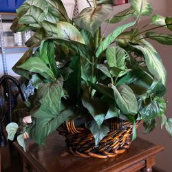 Greenery In A Basket 