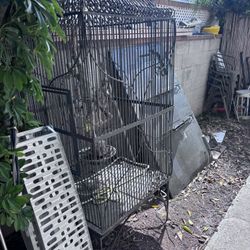 Bird Cage