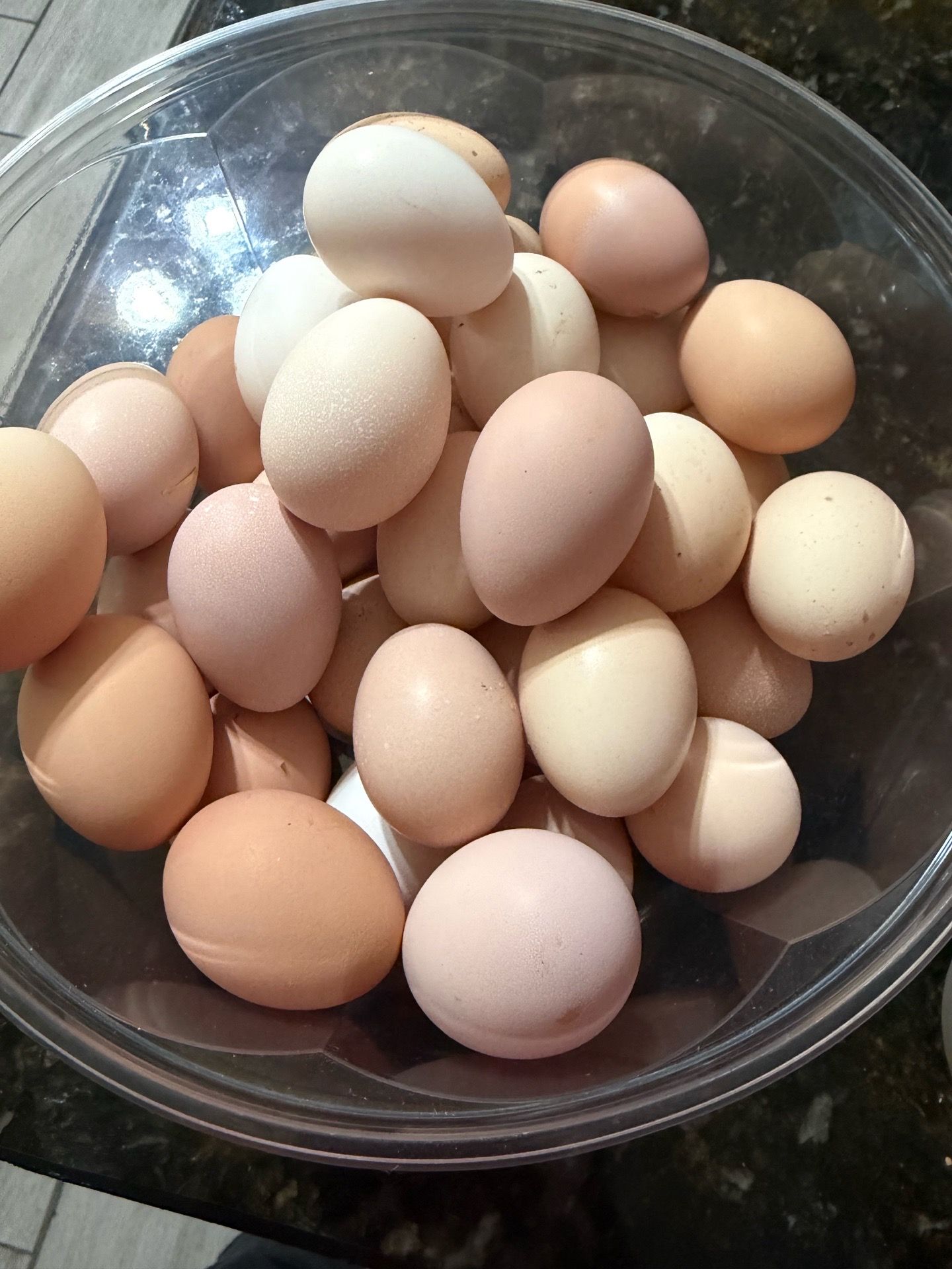 Farm Fresh Chicken Eggs 🥚